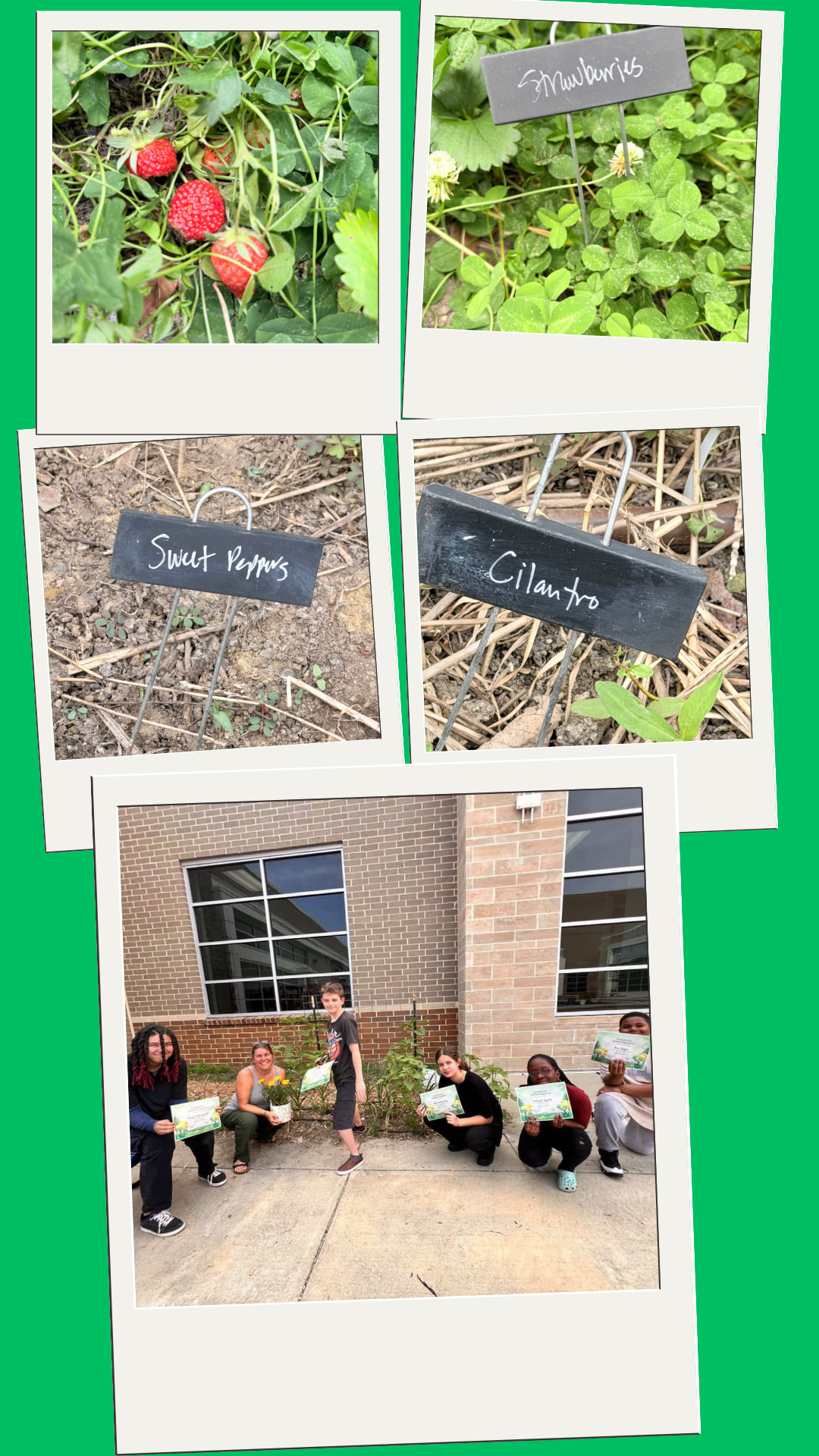 gardenclub2